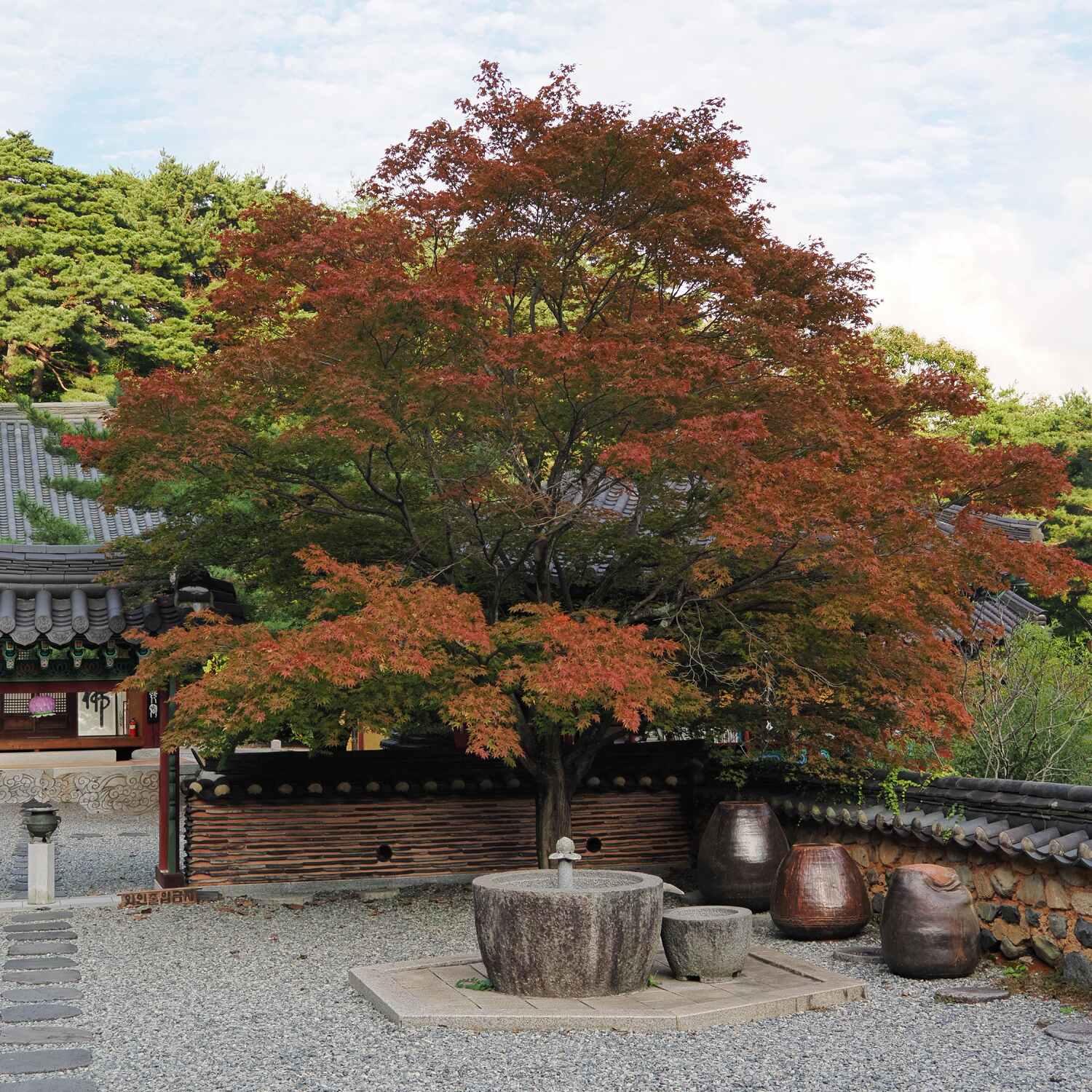 Going to Finn Part 2