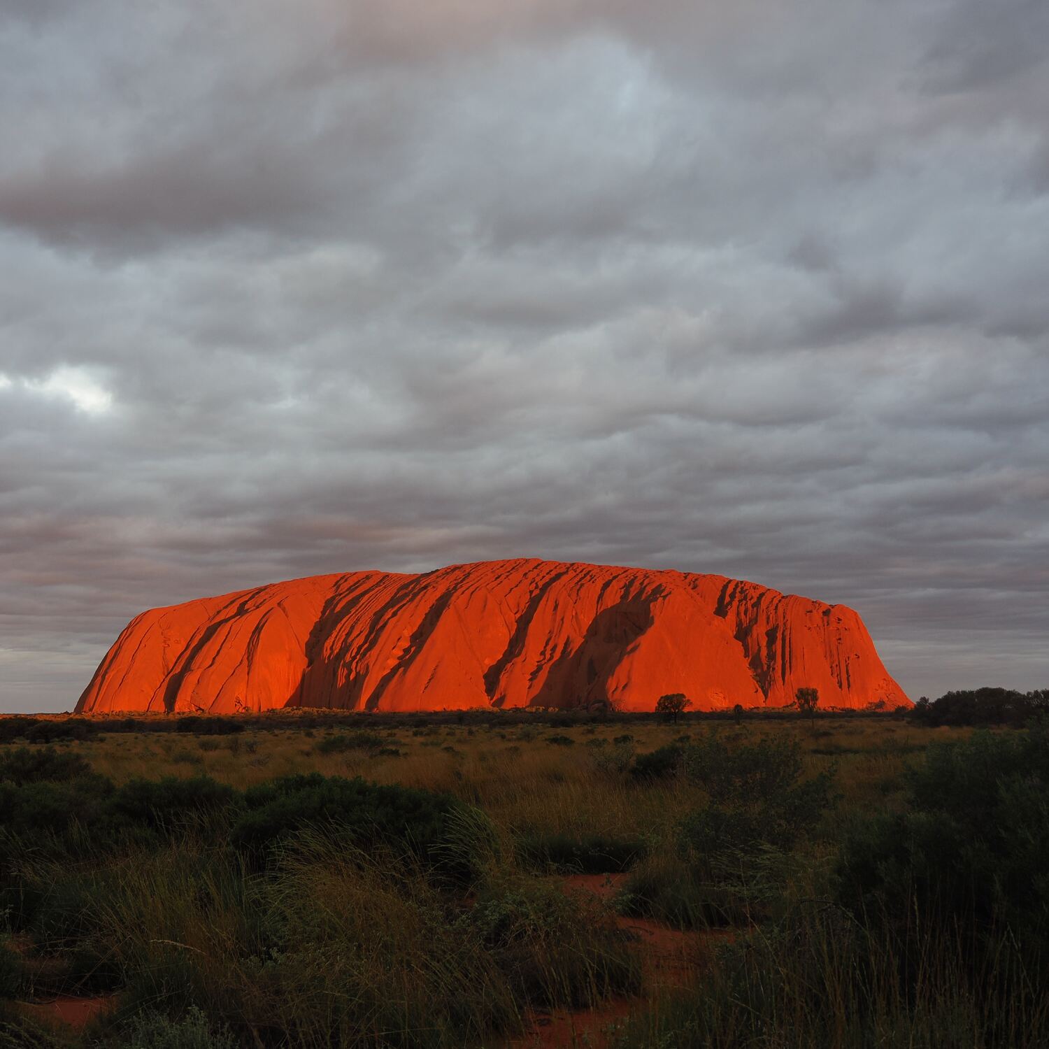 Going to Finn - Rückreise 1
