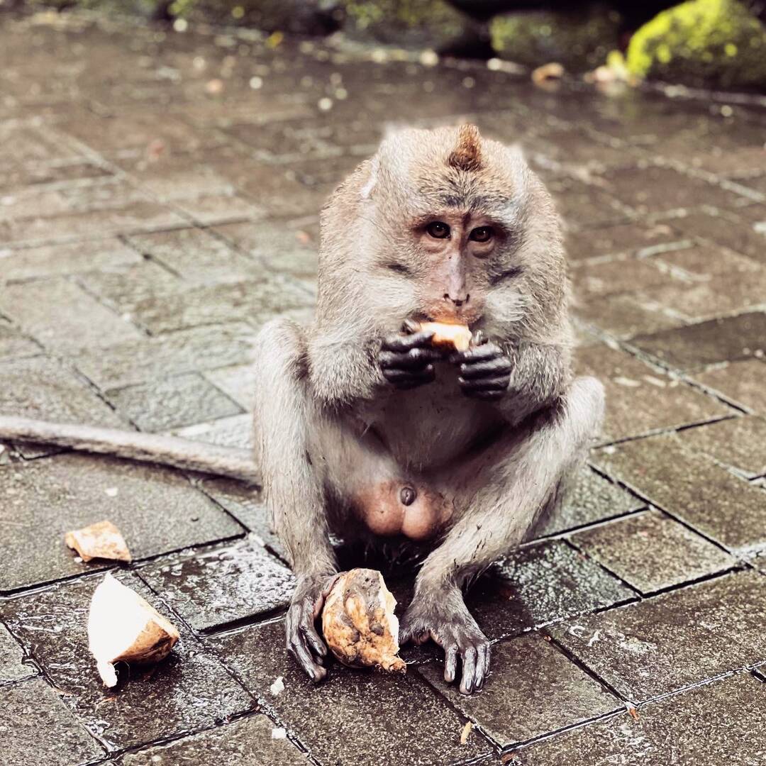 Bali - Indonesia