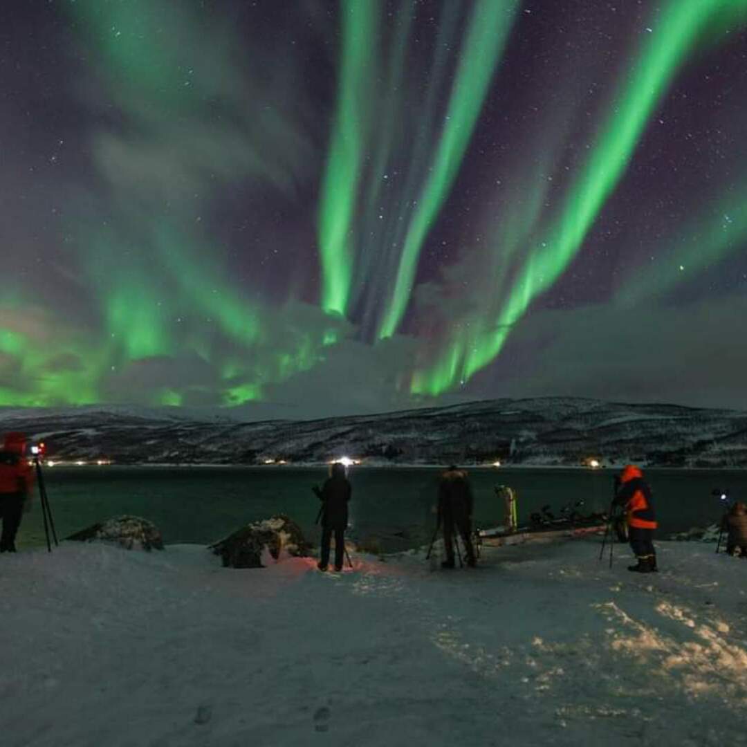 The Hunt for the Polarlight