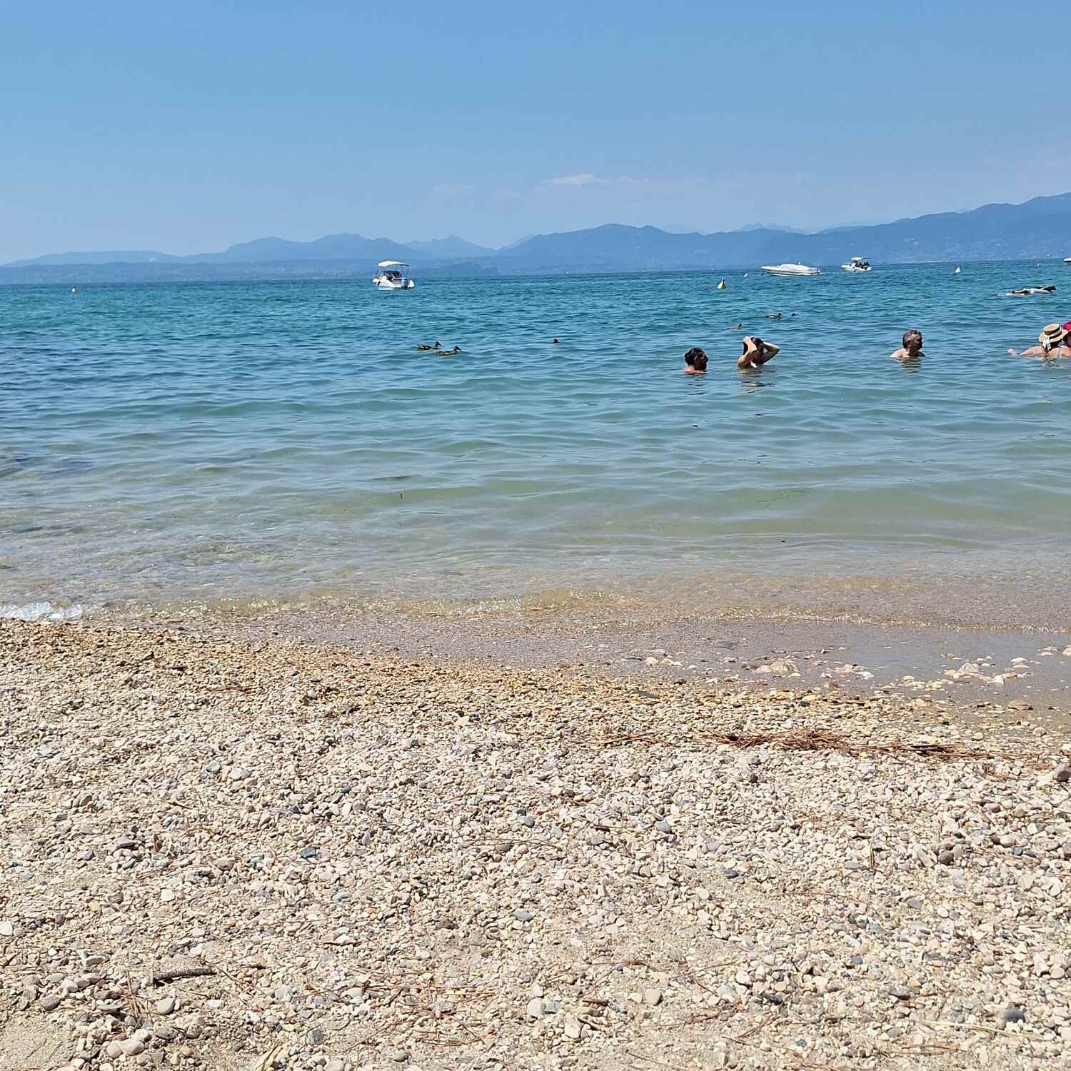LAZISE
