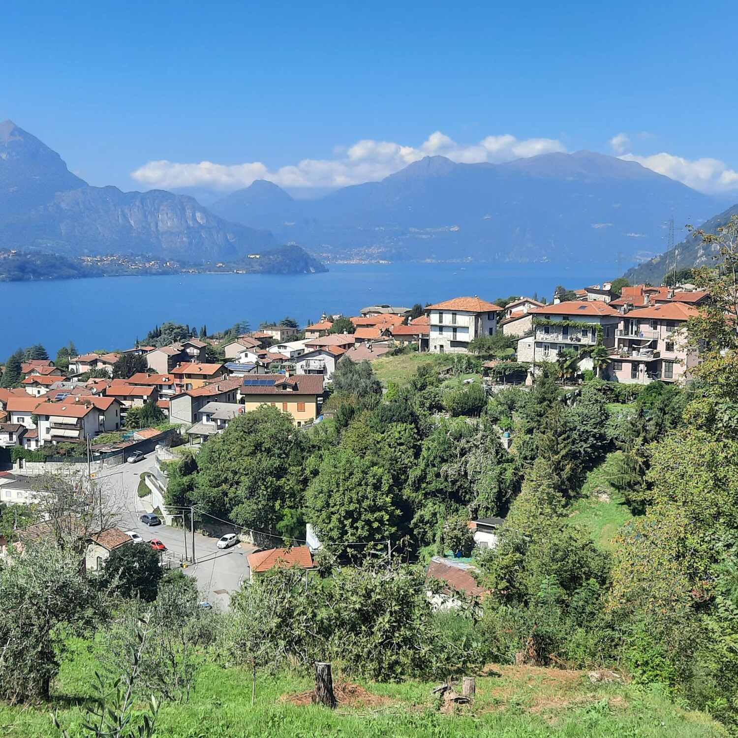 SENTIERO DEL VIANDANTE