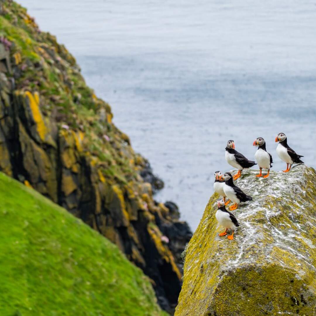 The Shiant Isles