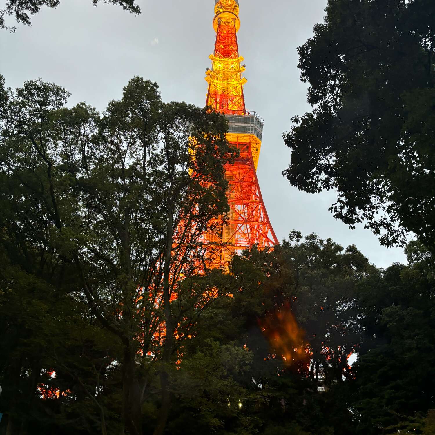 Japan City & Roadtrip