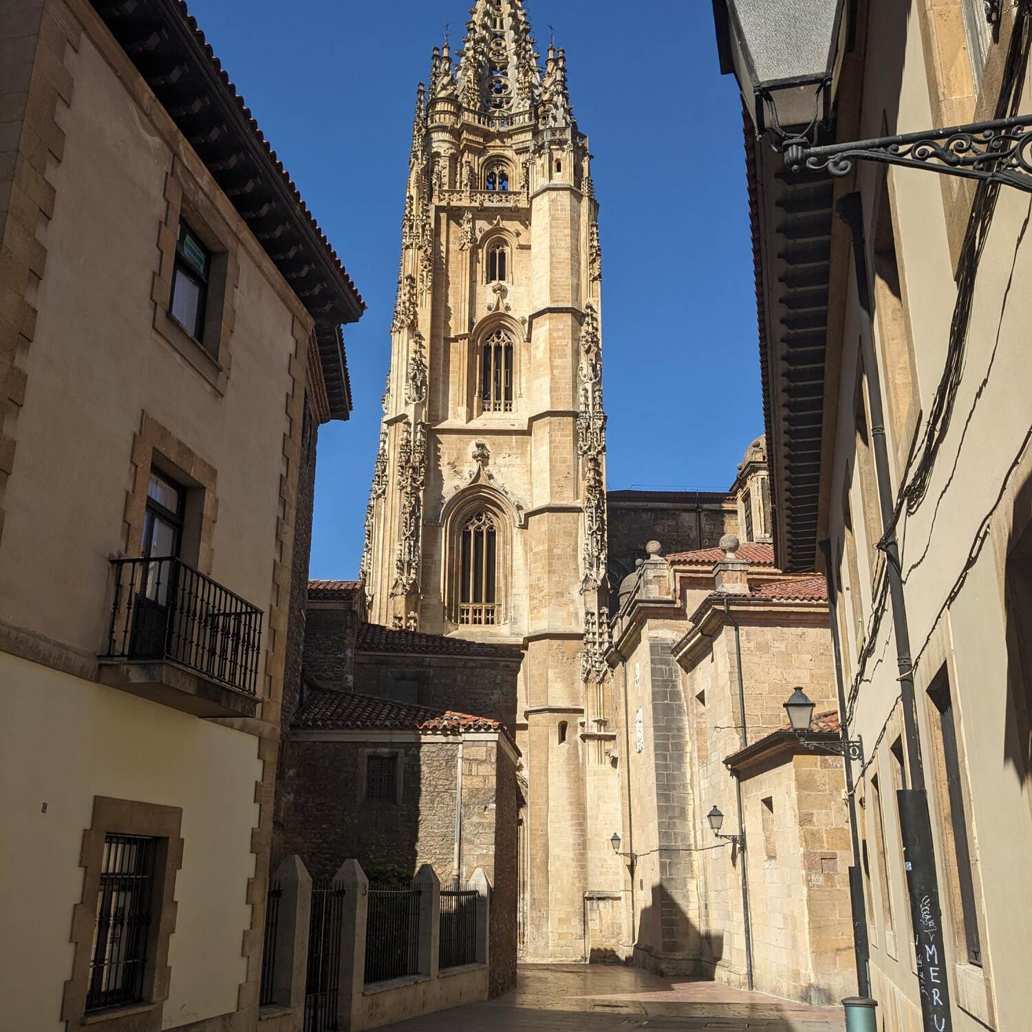 Primitivo