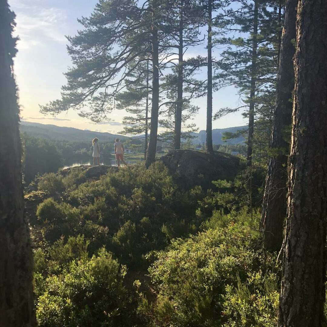 Skandinavien