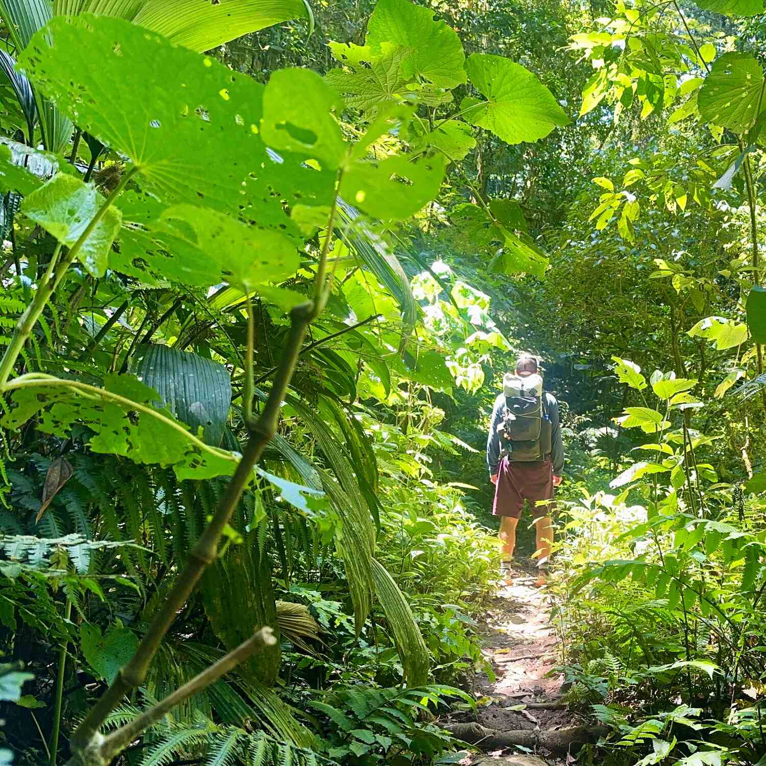 Camino de Costarica Reloaded