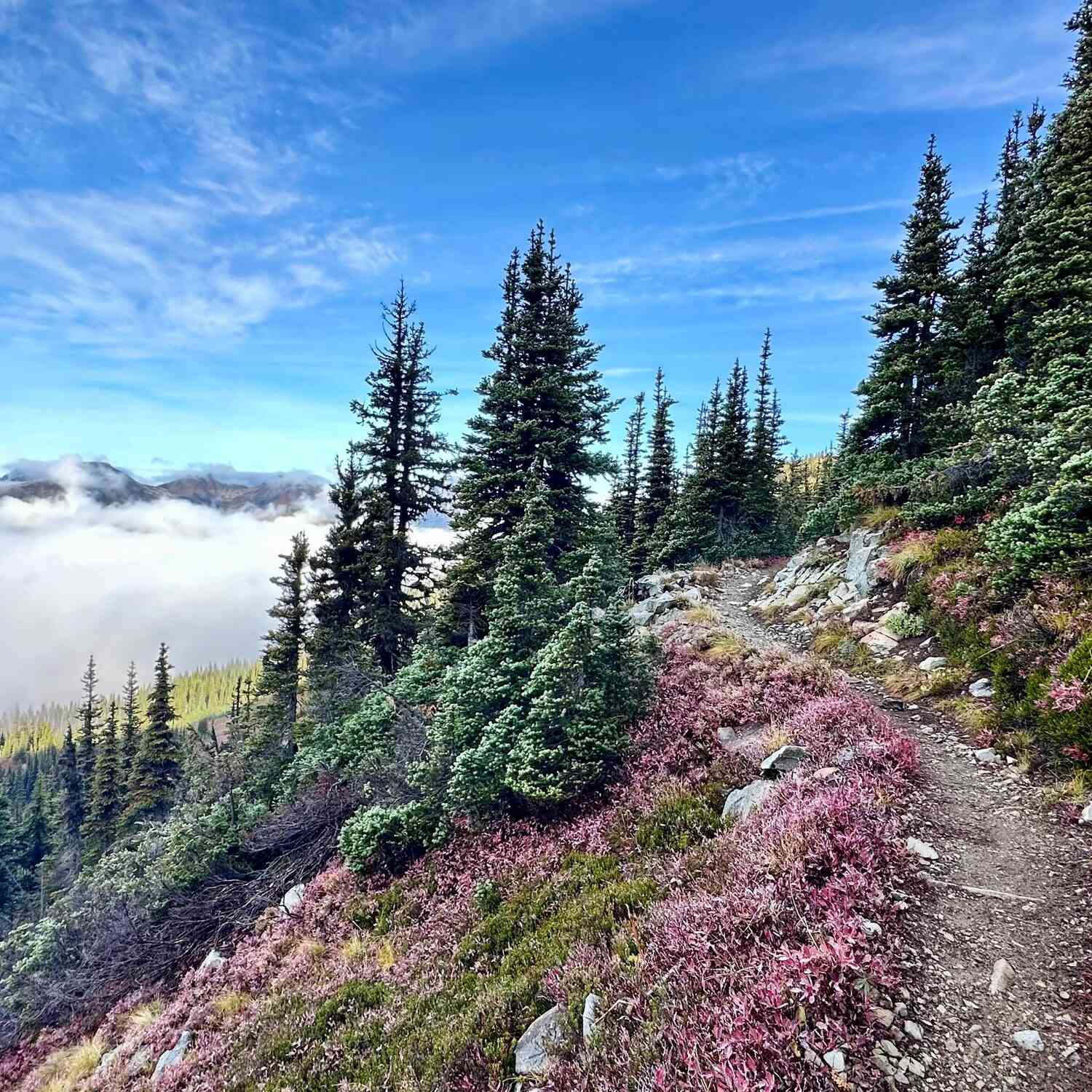 Pacific Crest Trail