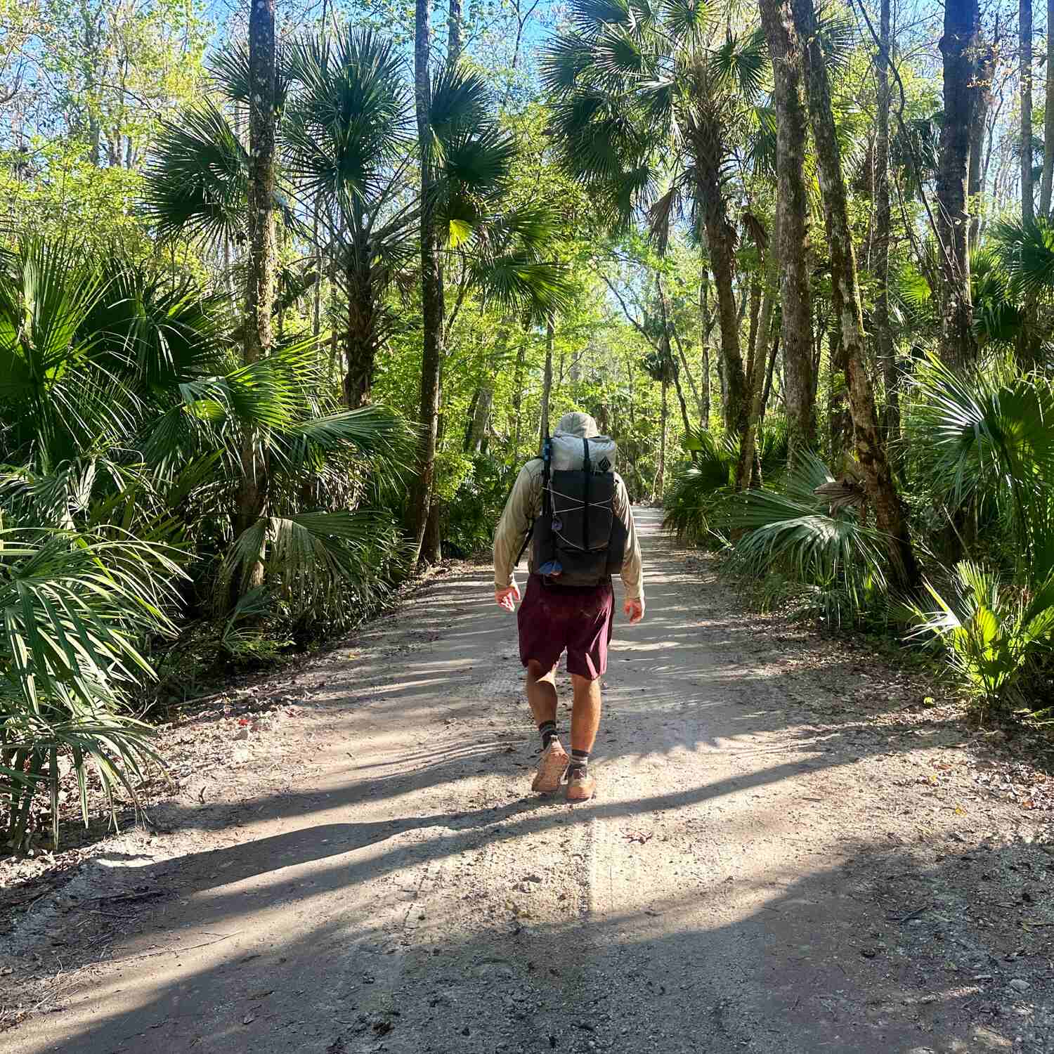 Florida Trail