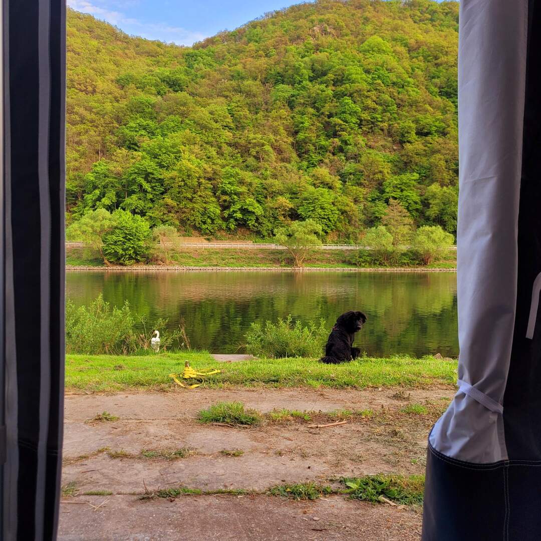 New Camper Gino an der Mosel