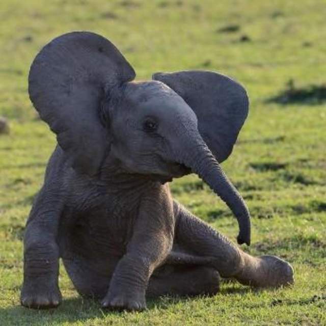 Day17 Going to Lakeland FL