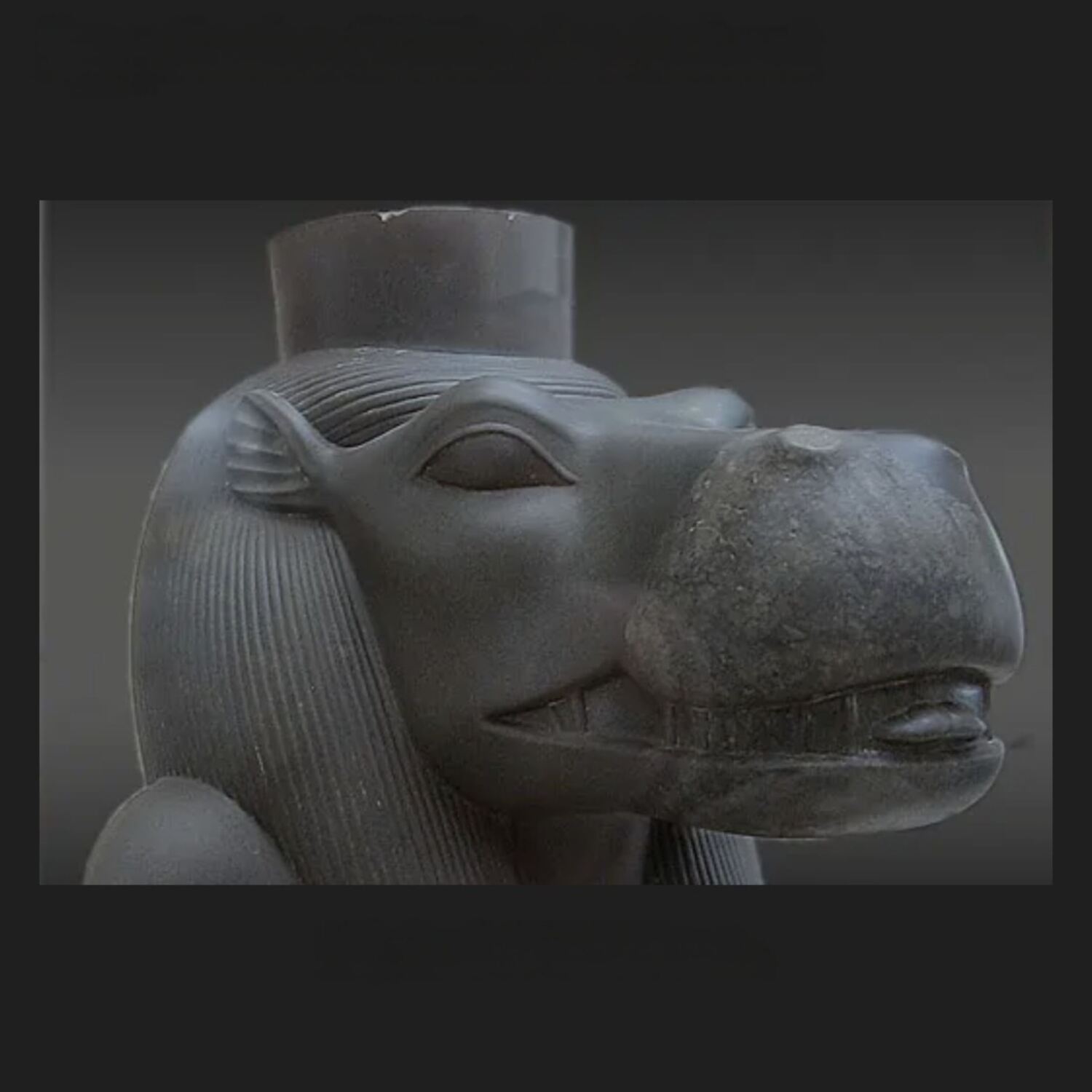 Auf den Spuren der Nil Pferde