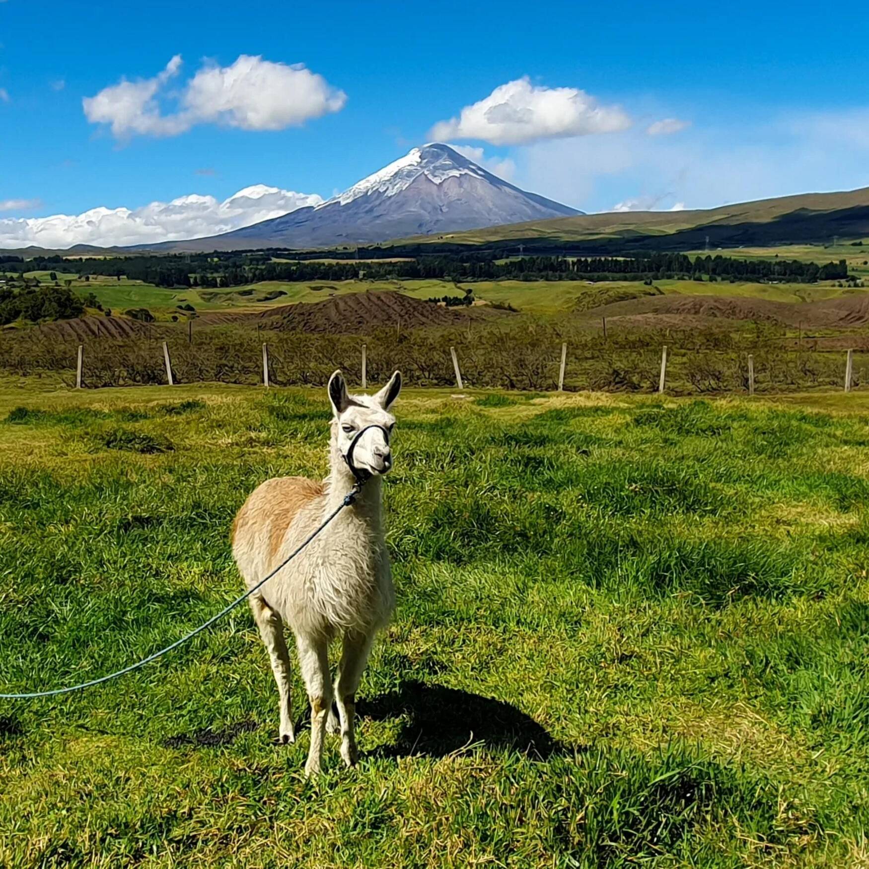 Süd- & Mittelamerika 2023