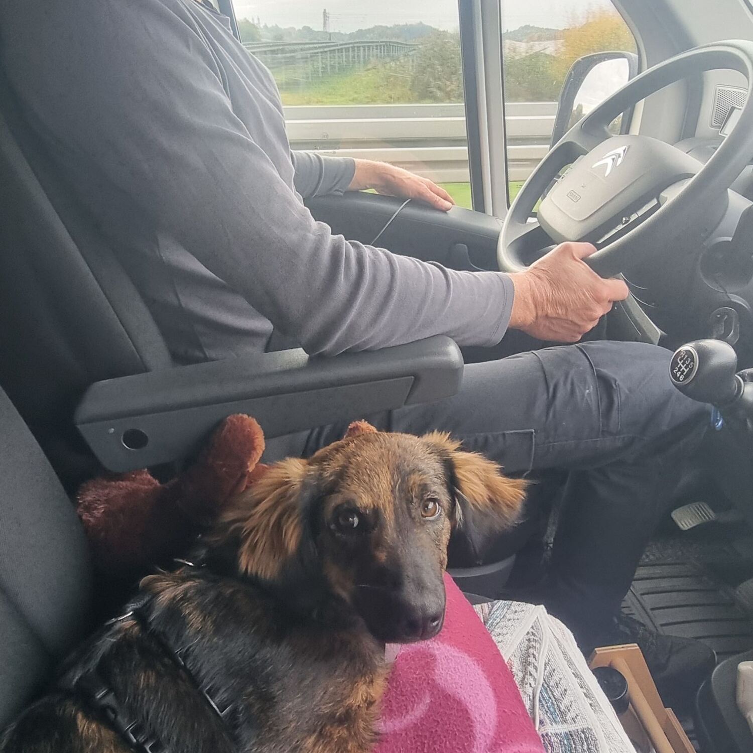 Es geht wieder los 🥳