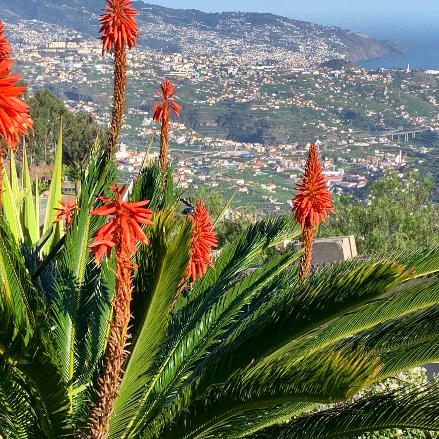 Madeira Island
