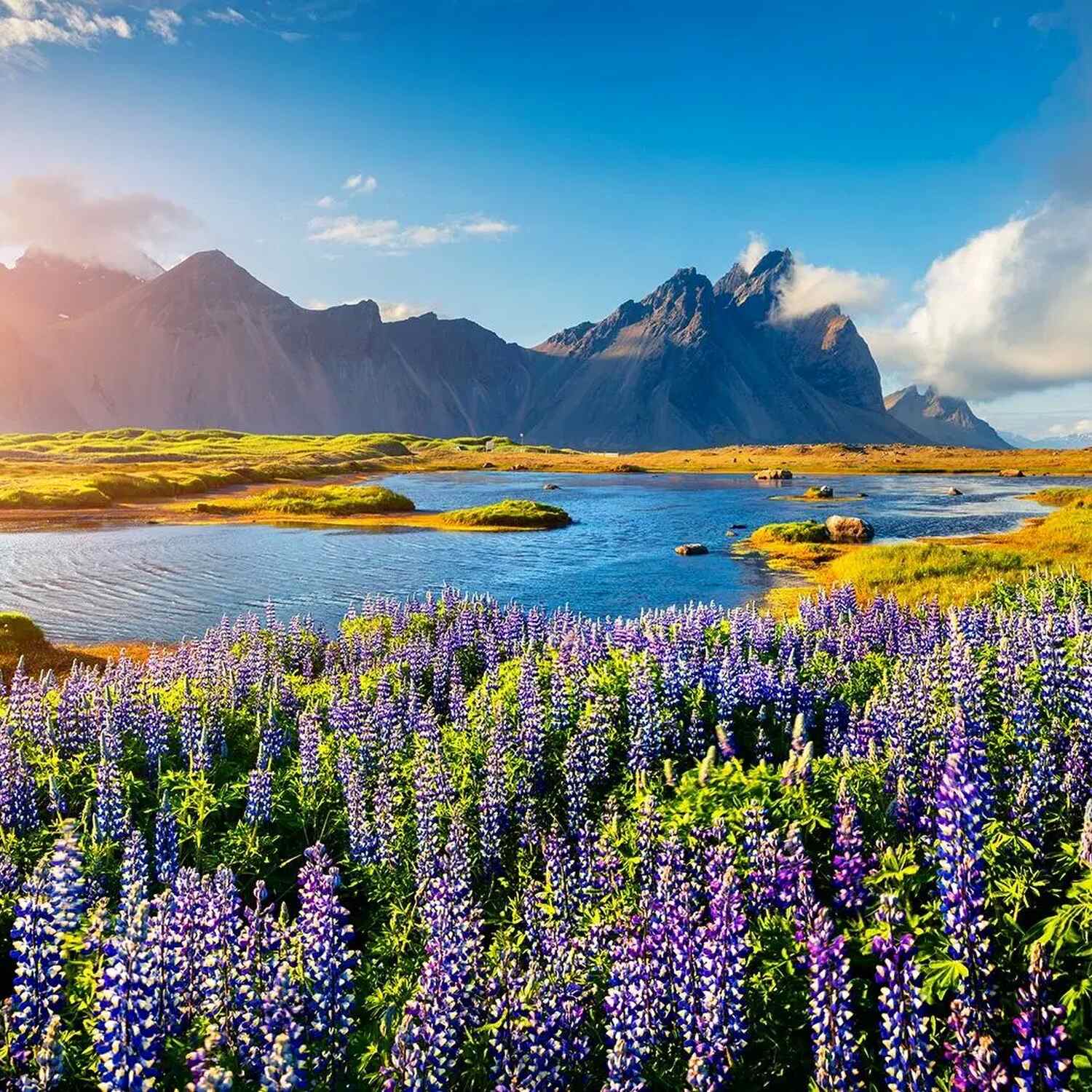 Scandinavian