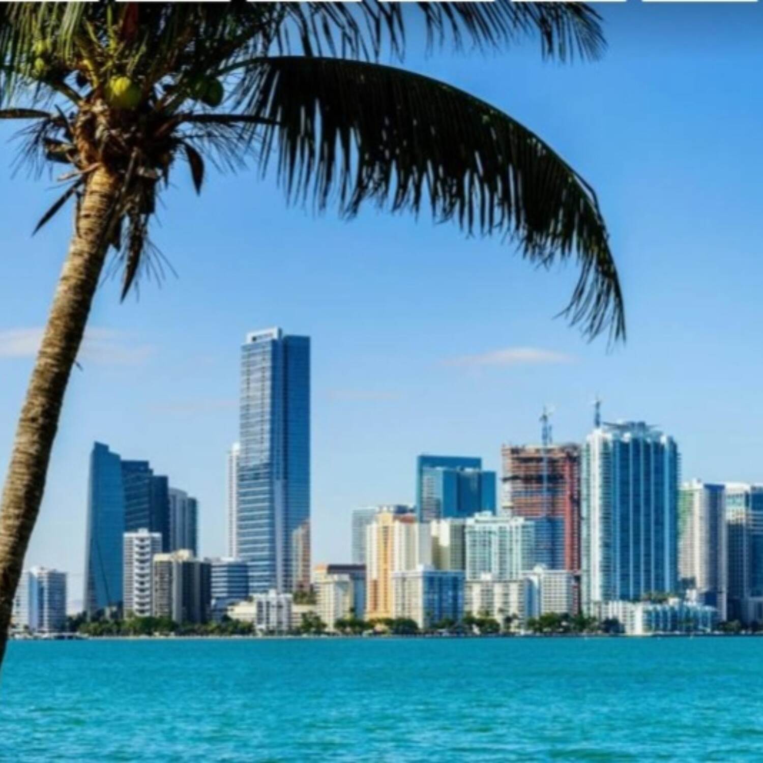 Miami, Kreuzfahrt und Mee(h) r