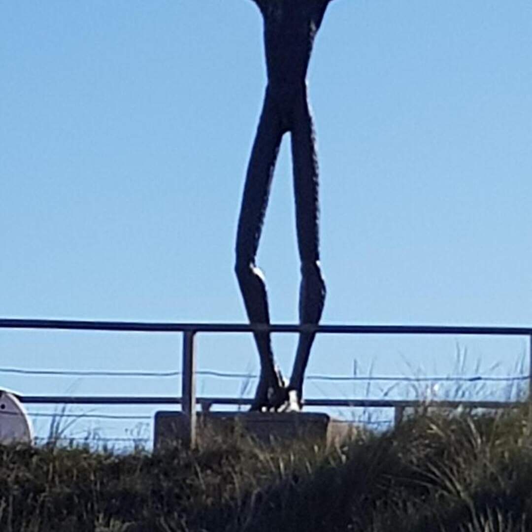 Spätsommer auf Spiekeroog