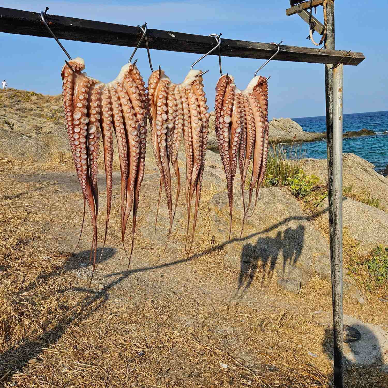 Thessaloniki & Chalkidiki