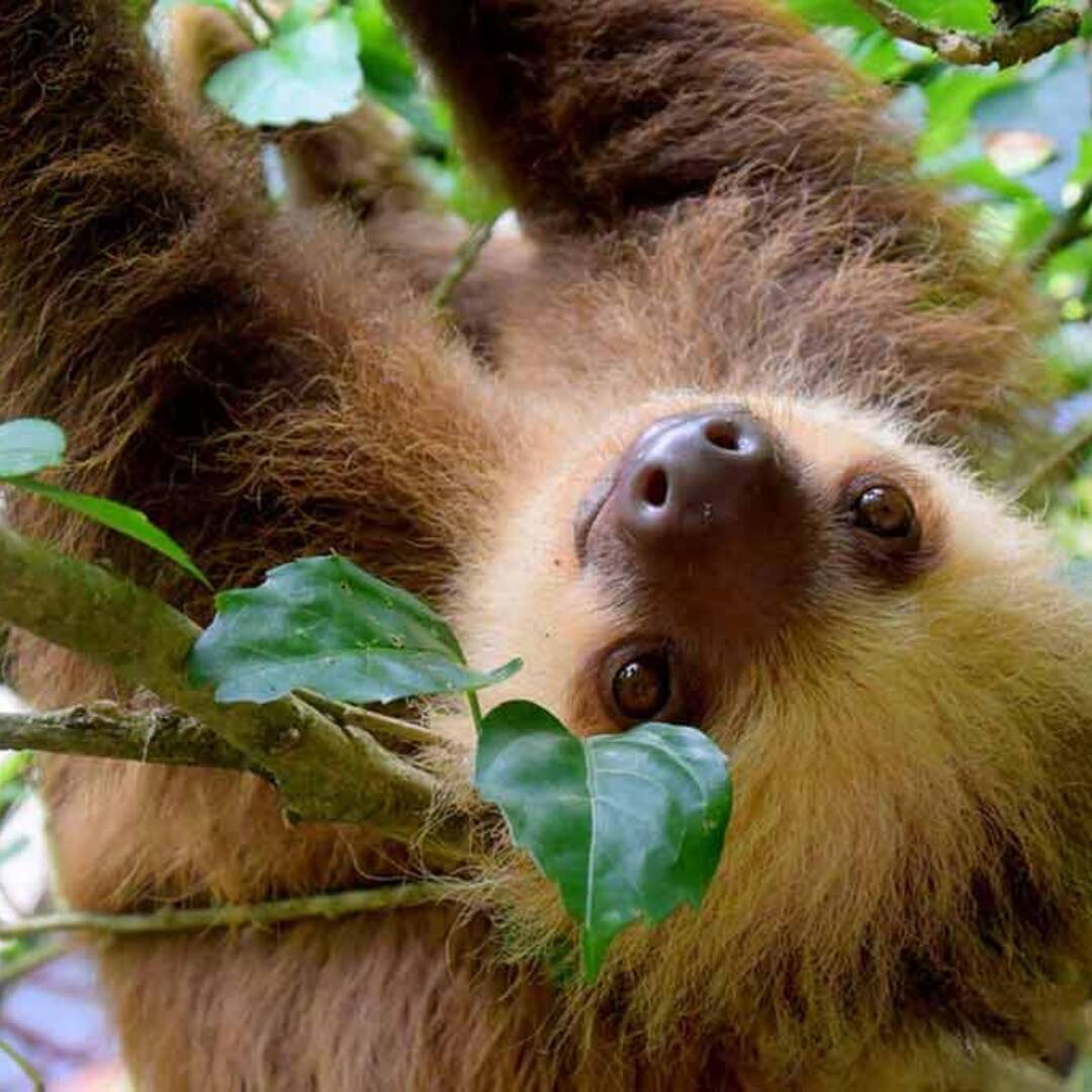 Costa Rica