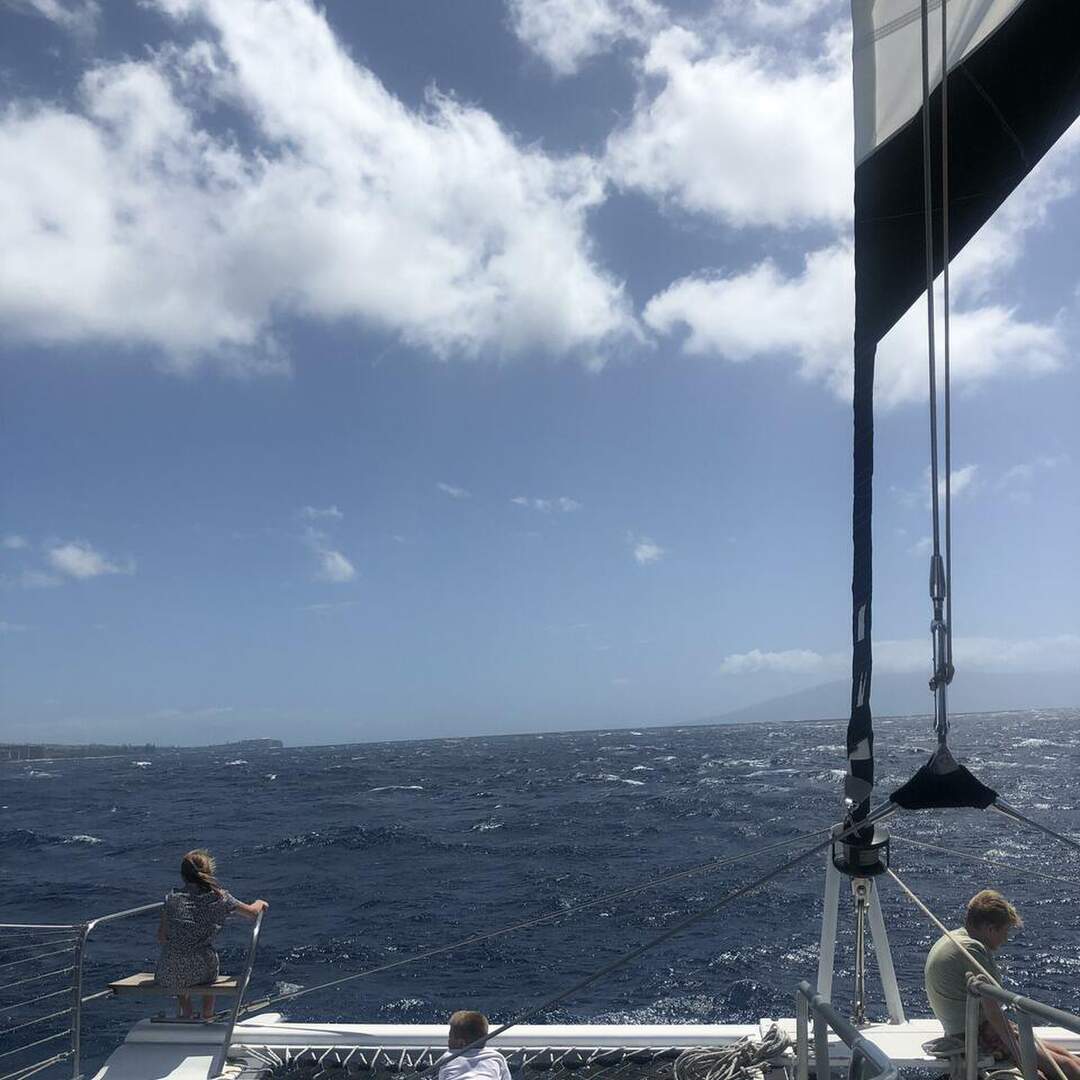 Maui birthday
