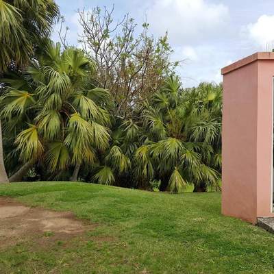 CoetseeadventureBermuda