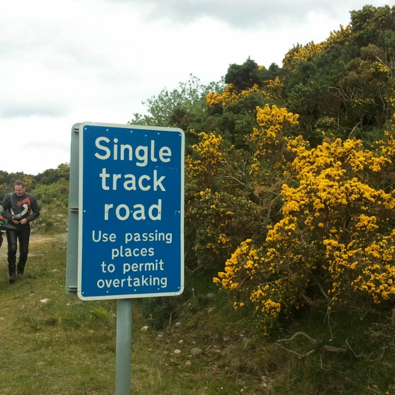 Lonely Scotland 🏴󠁧󠁢󠁳󠁣󠁴󠁿