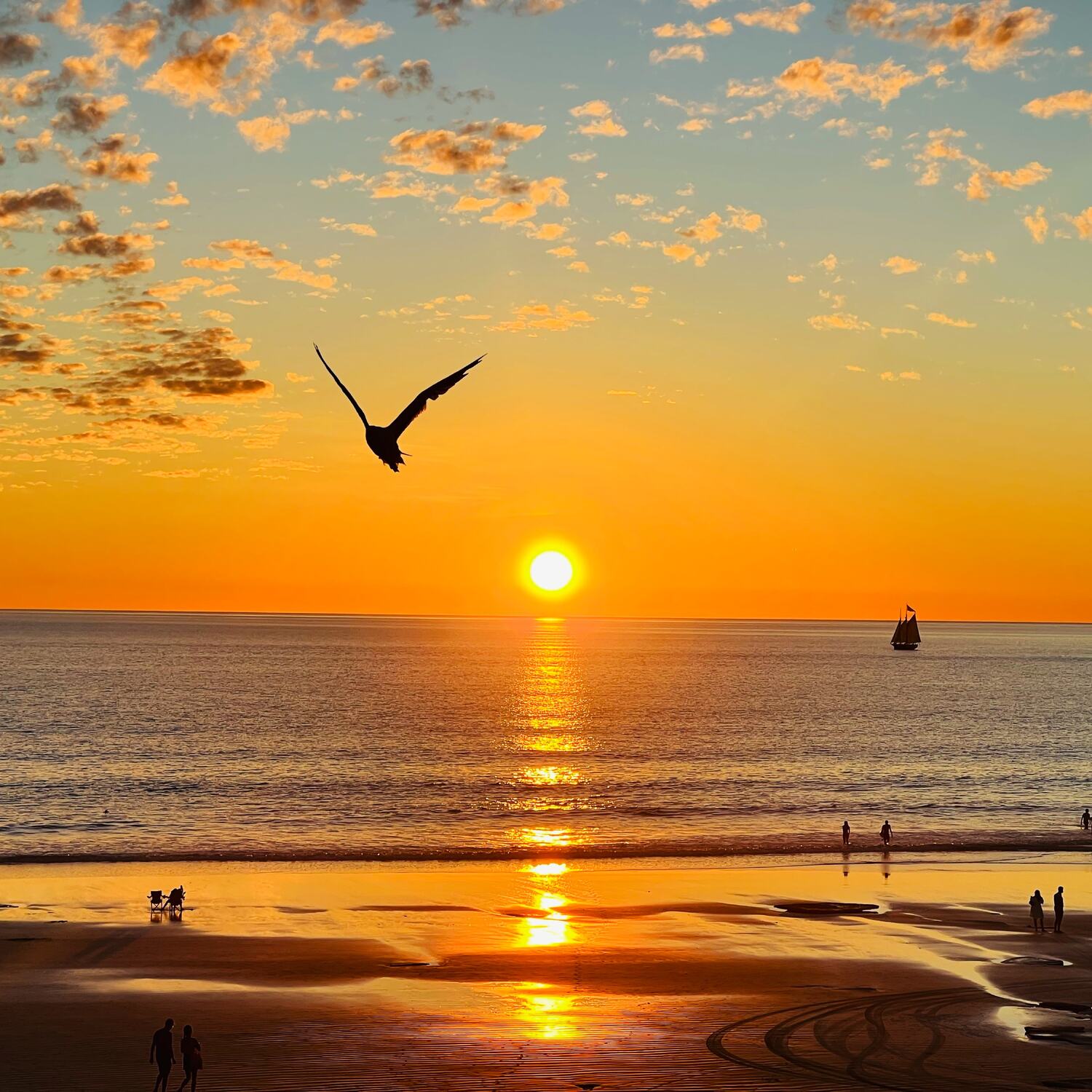 Coast to Coast: May-June 2025