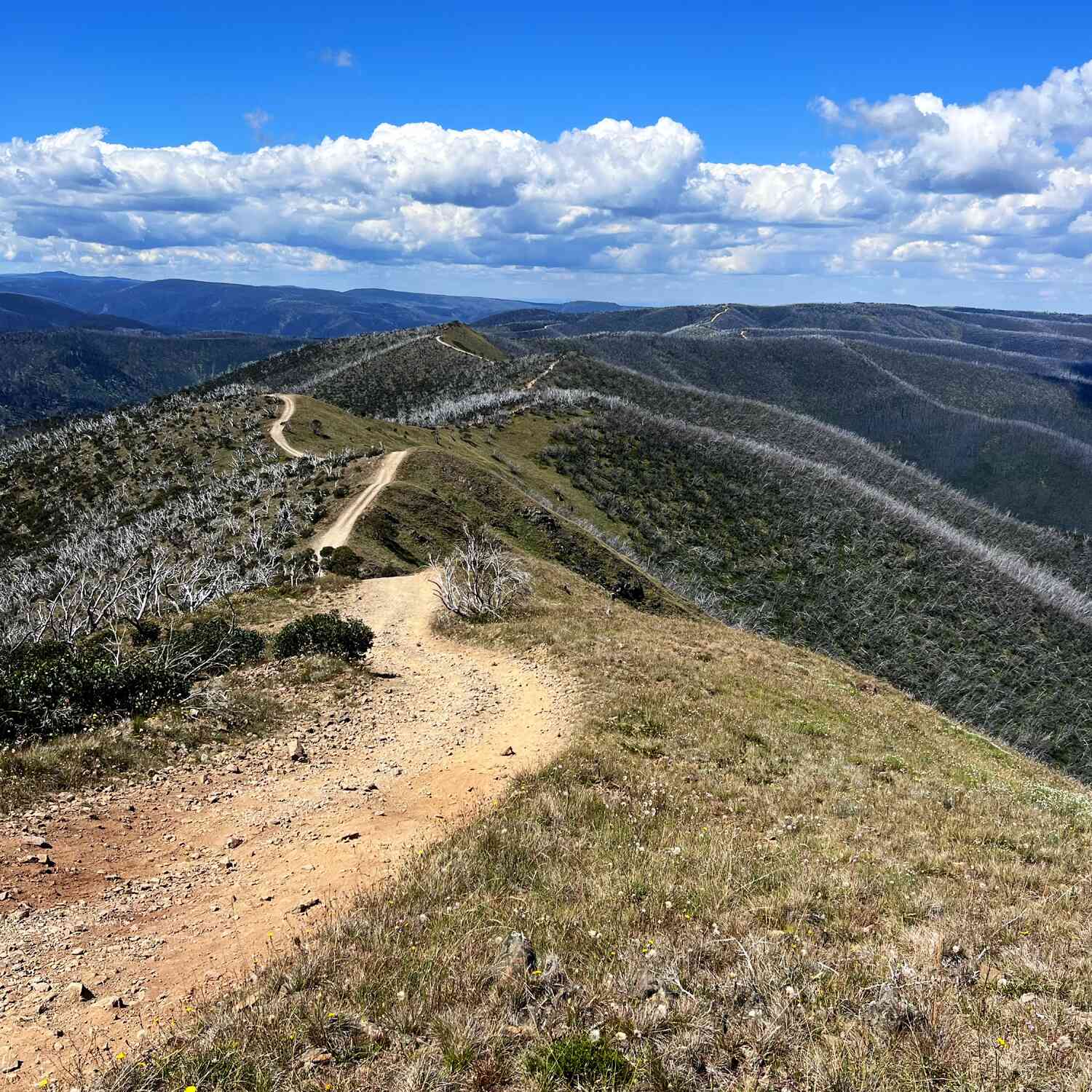 Victorian High Country