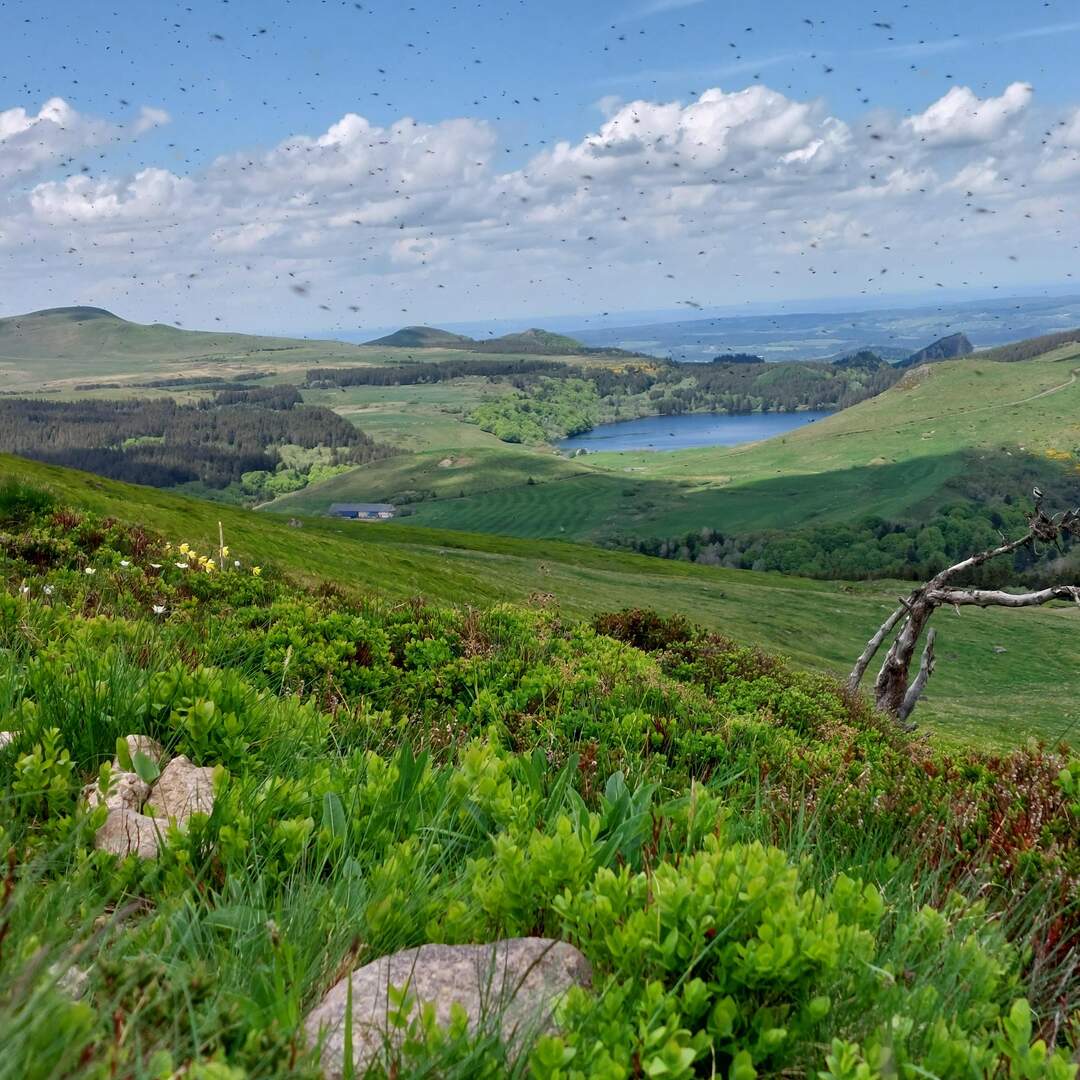 Reise in die Auvergne