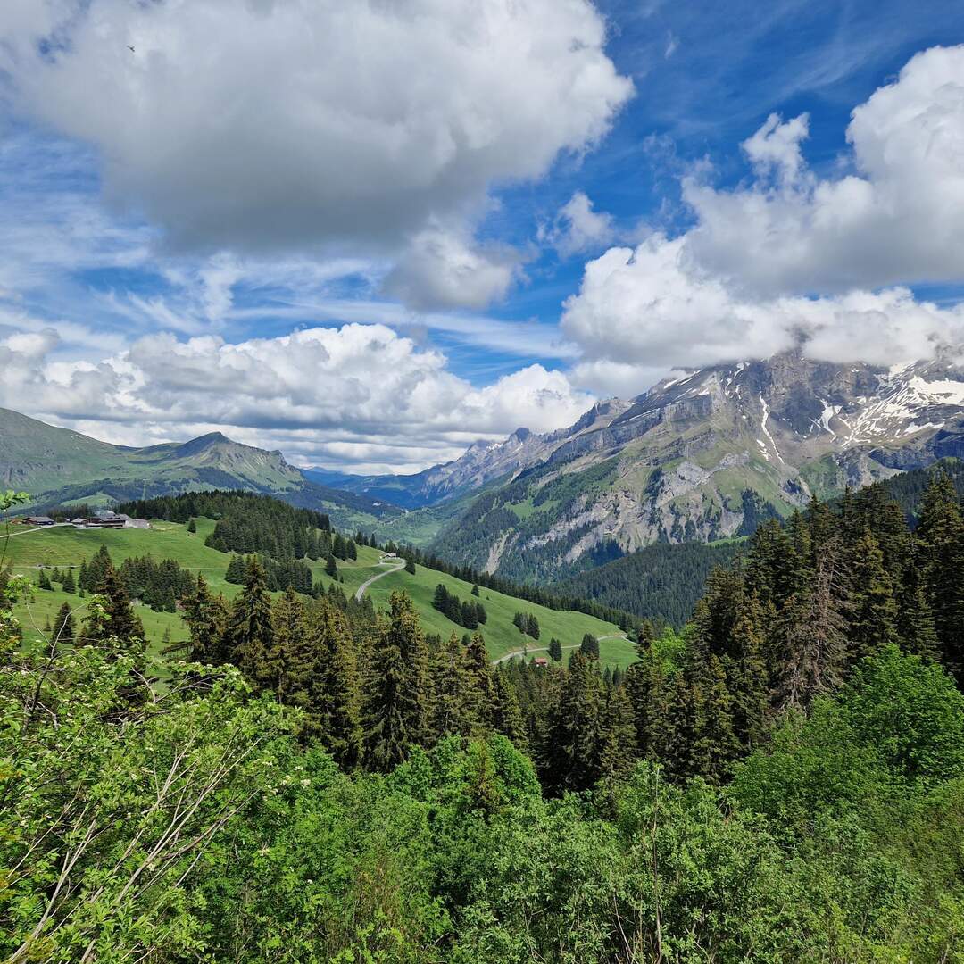 Wallis