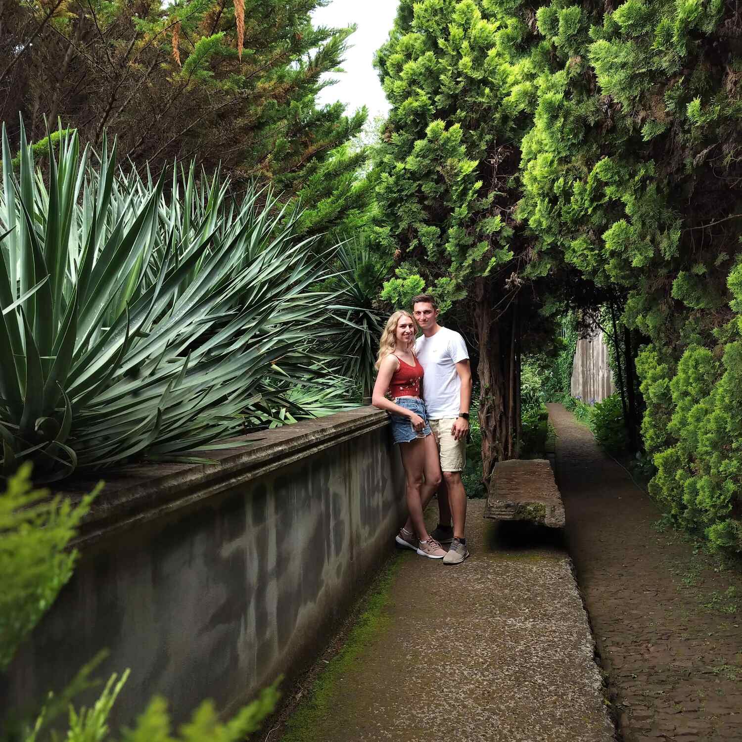Madeira🌸