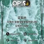 제주도출장샵 오피쓰주소.COM 제주도출장마사지