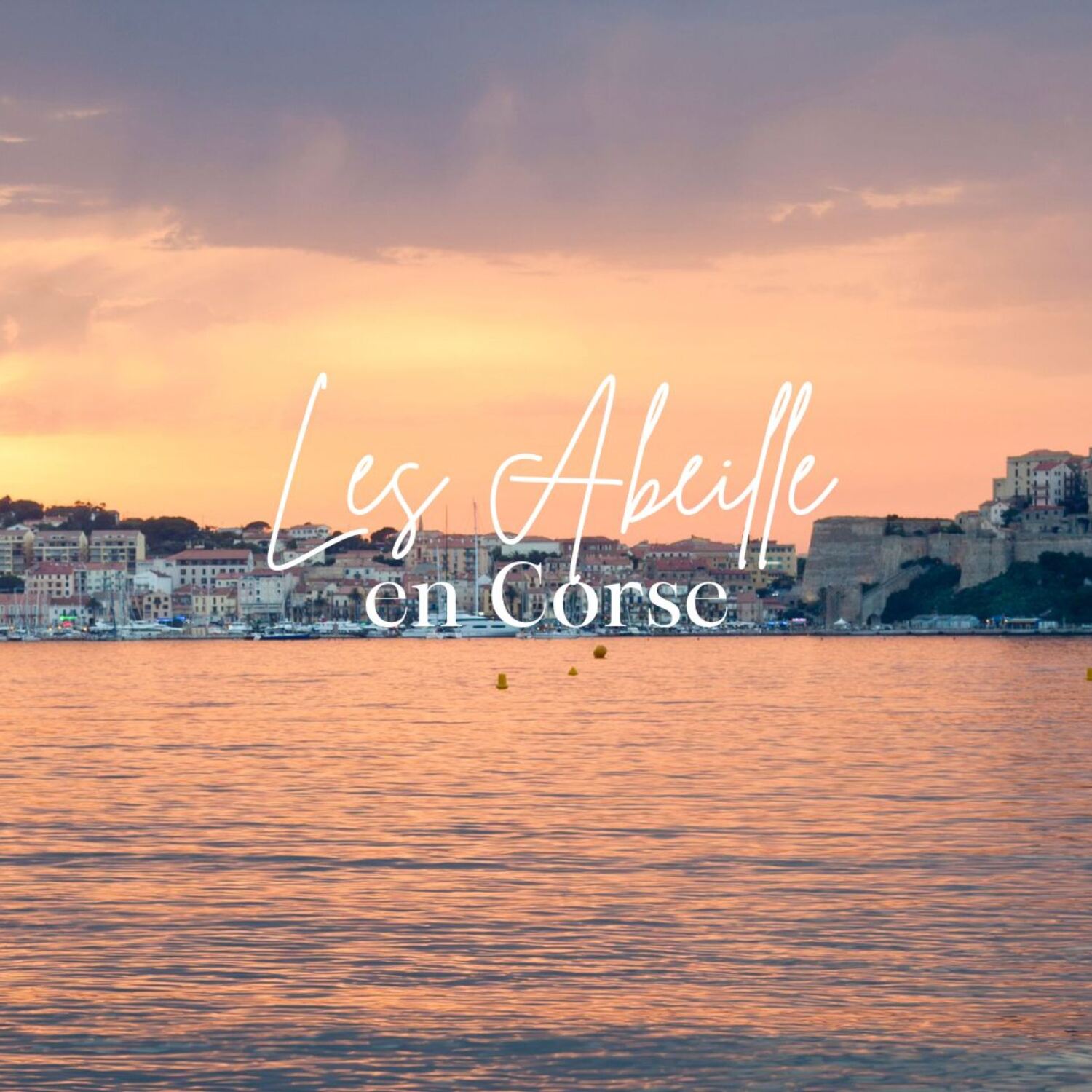 Les Abeille en Corse
