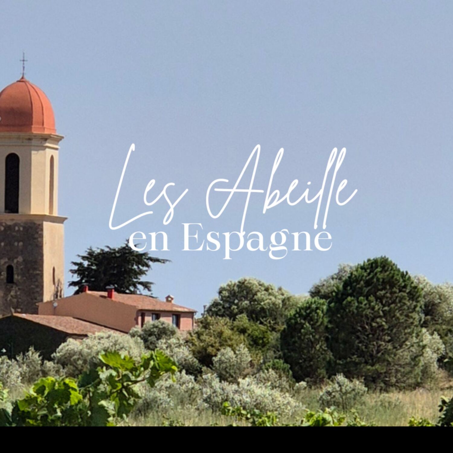 Les Abeille en Espagne