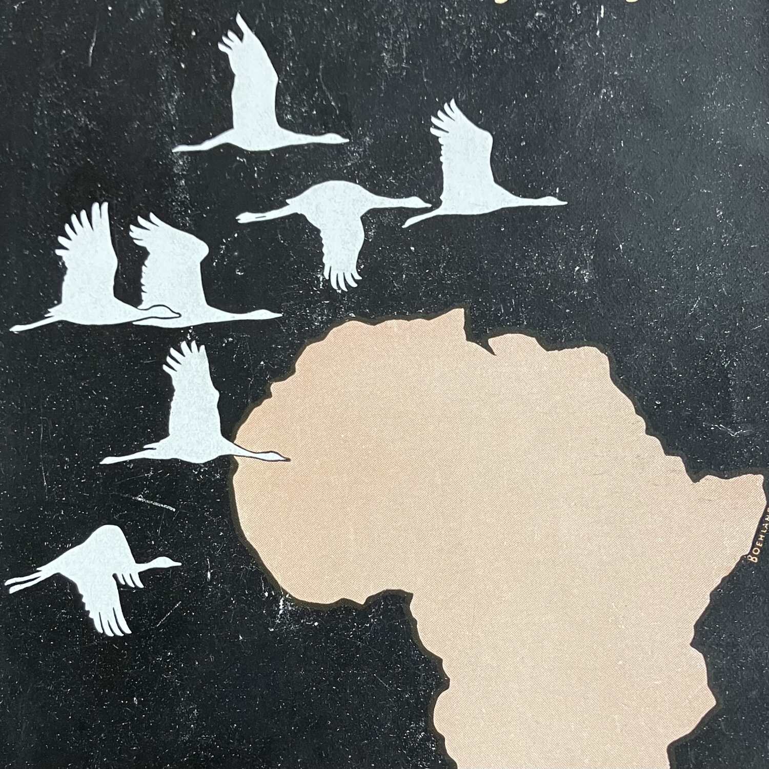 Den Zugvögeln hinterher