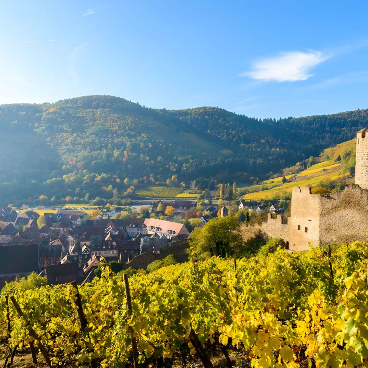 Pfingstwocheende Elsass
