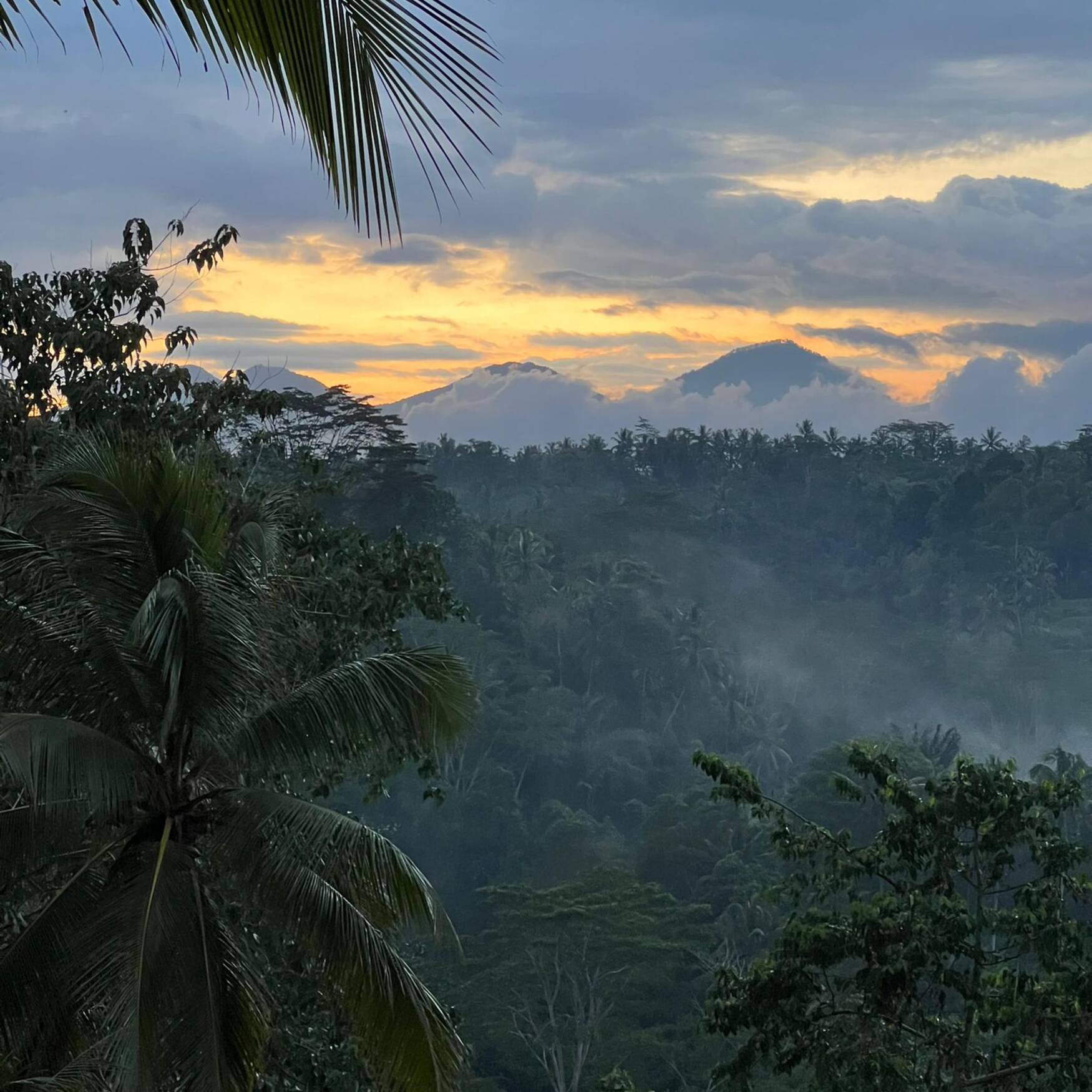 Bali
