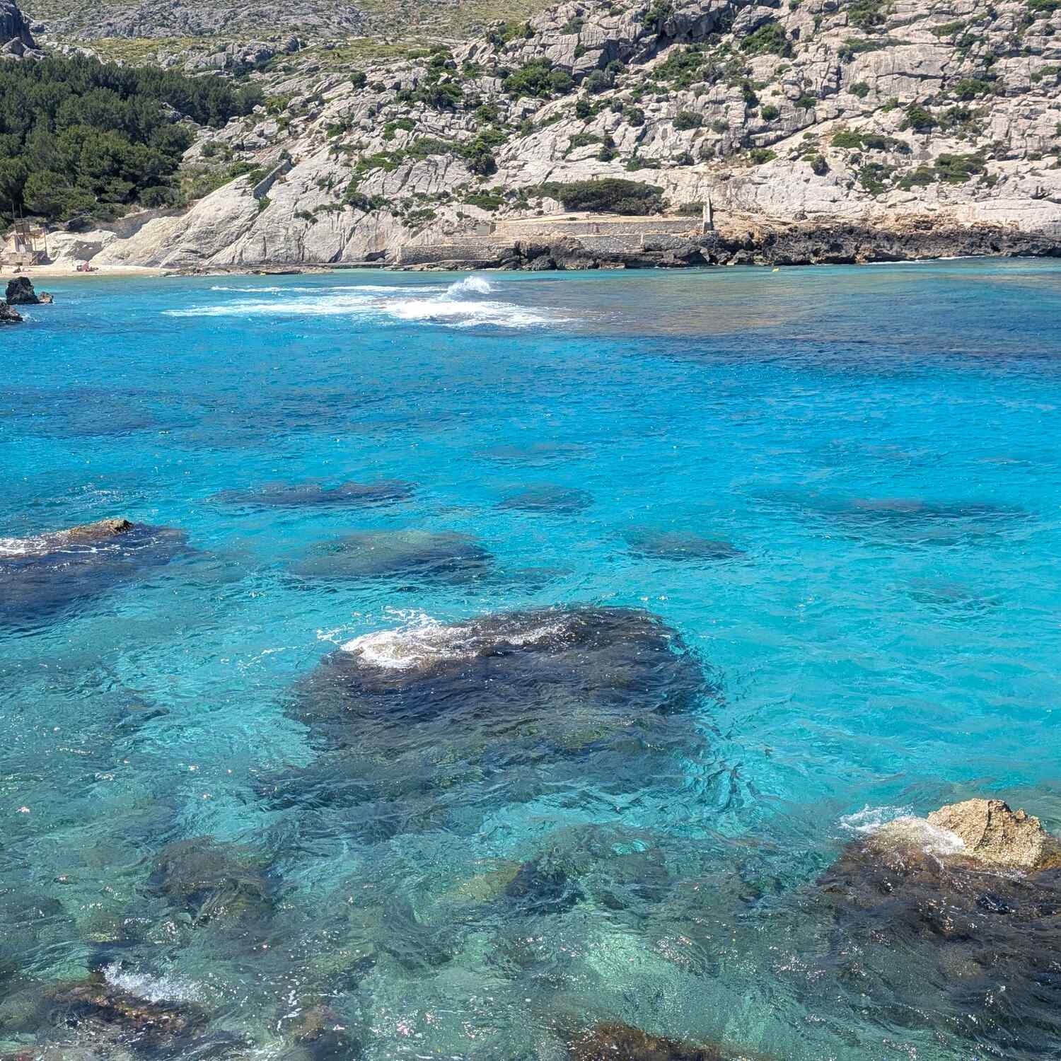 Palma di Maiorca