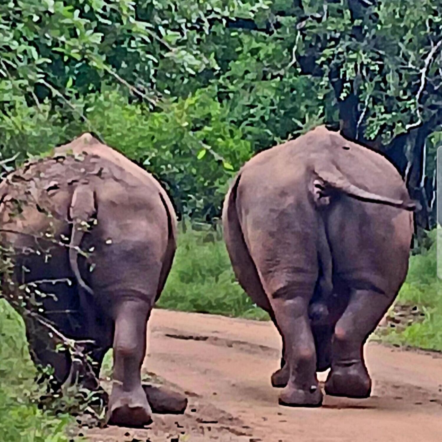 Gemeinsame Wege Südafrika
