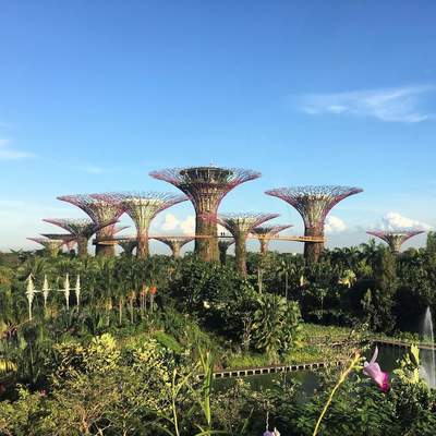 2017 Singapore