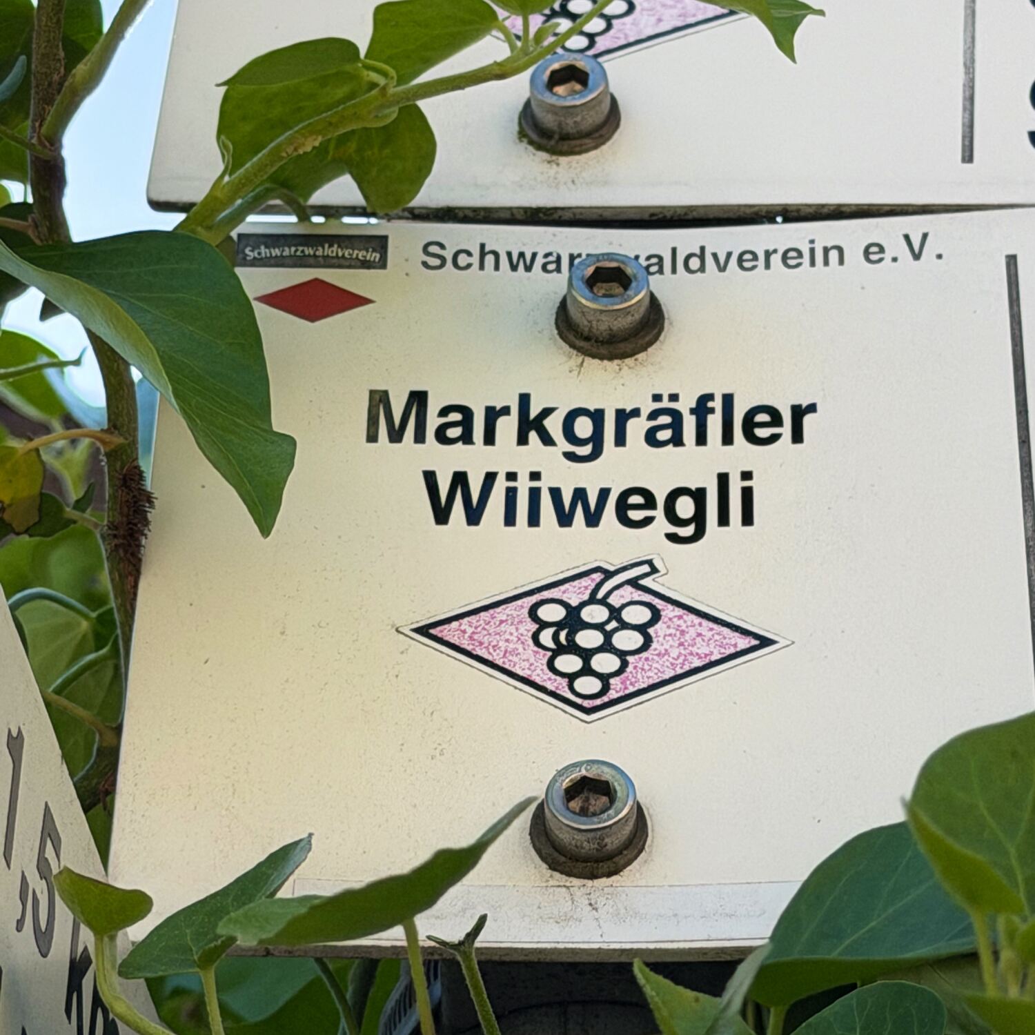 Markgräfler Wiiwegli