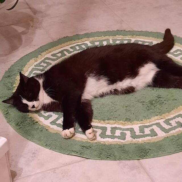 Wolf-Dieter Nitschke