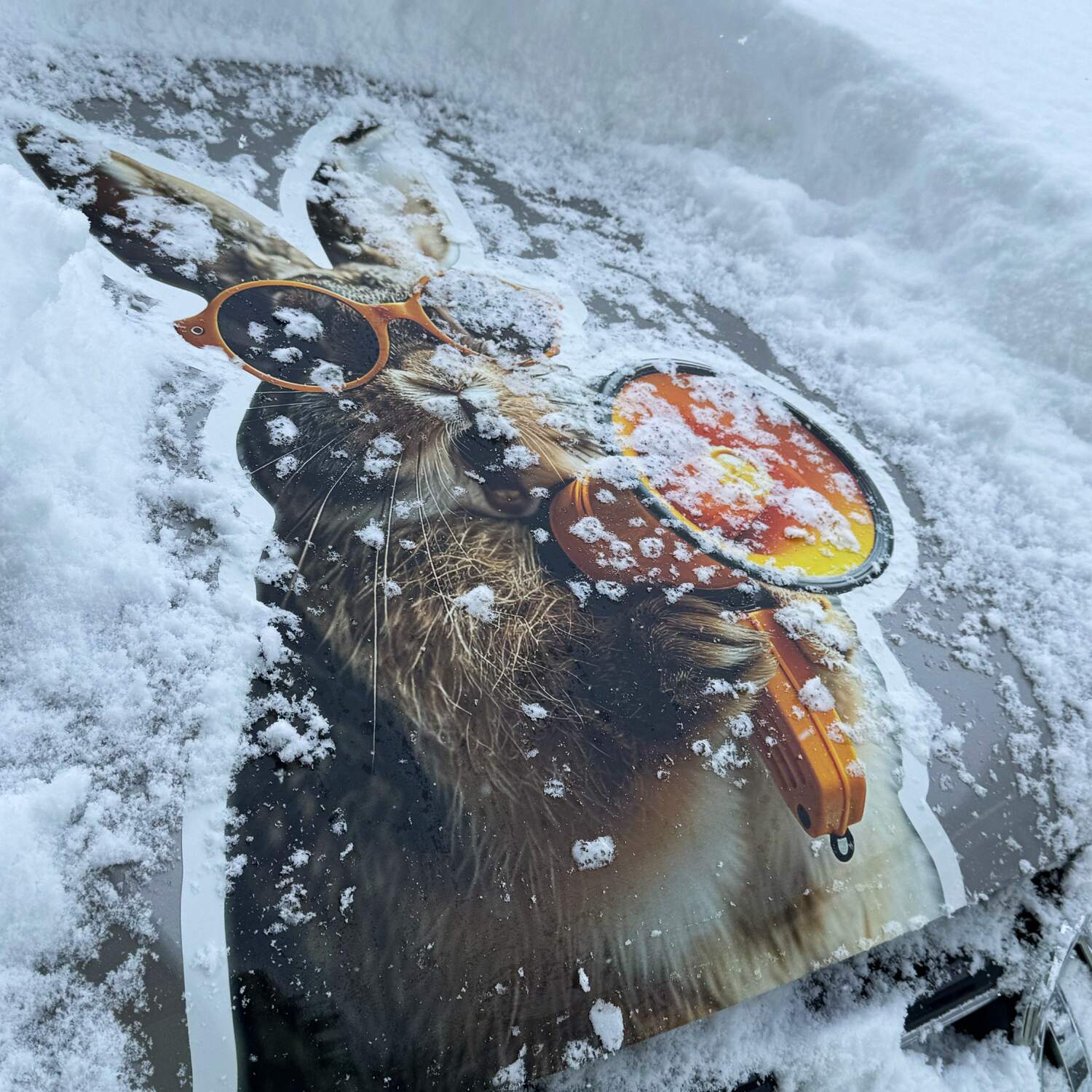 Roadtrip // Ostern 2026