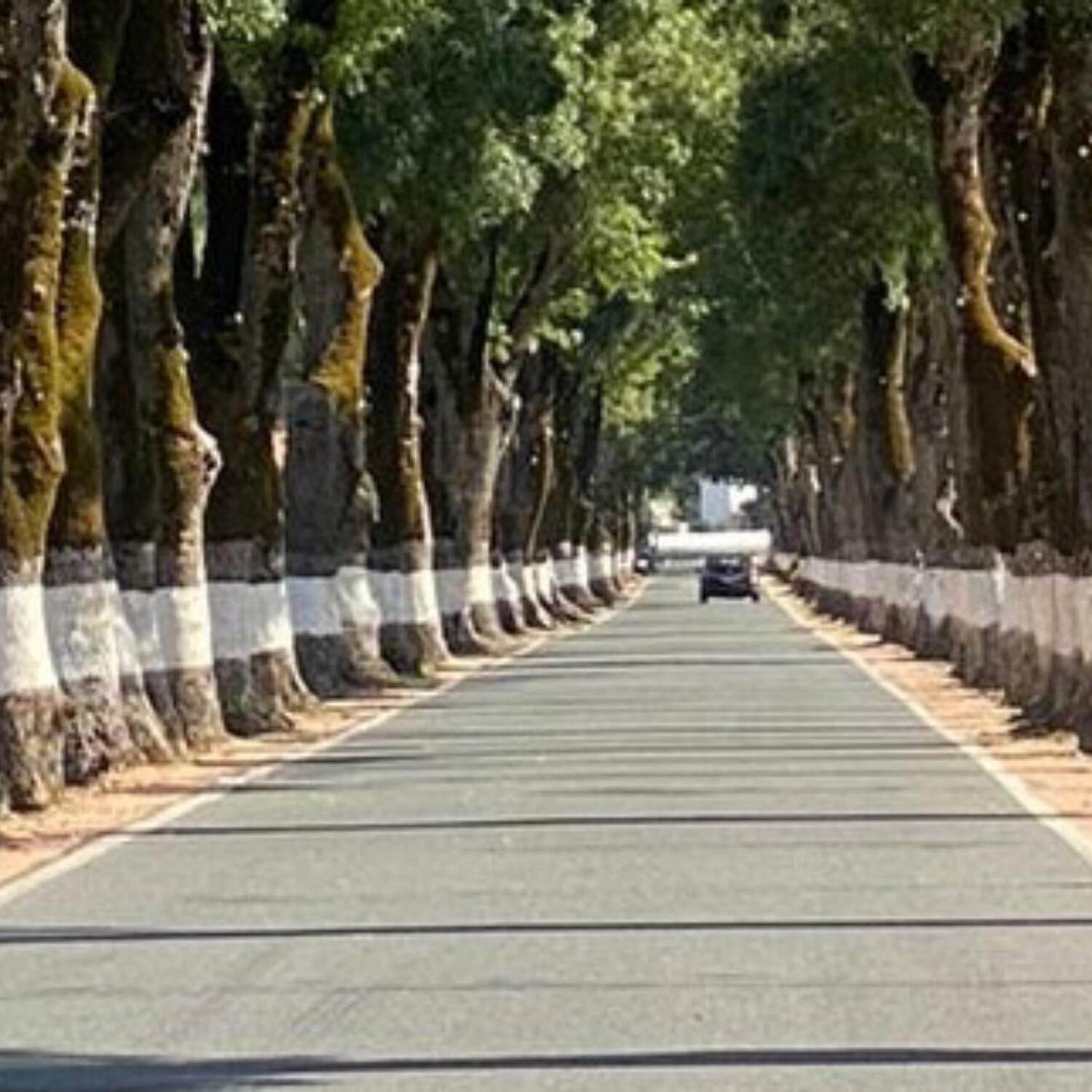 Alentejo