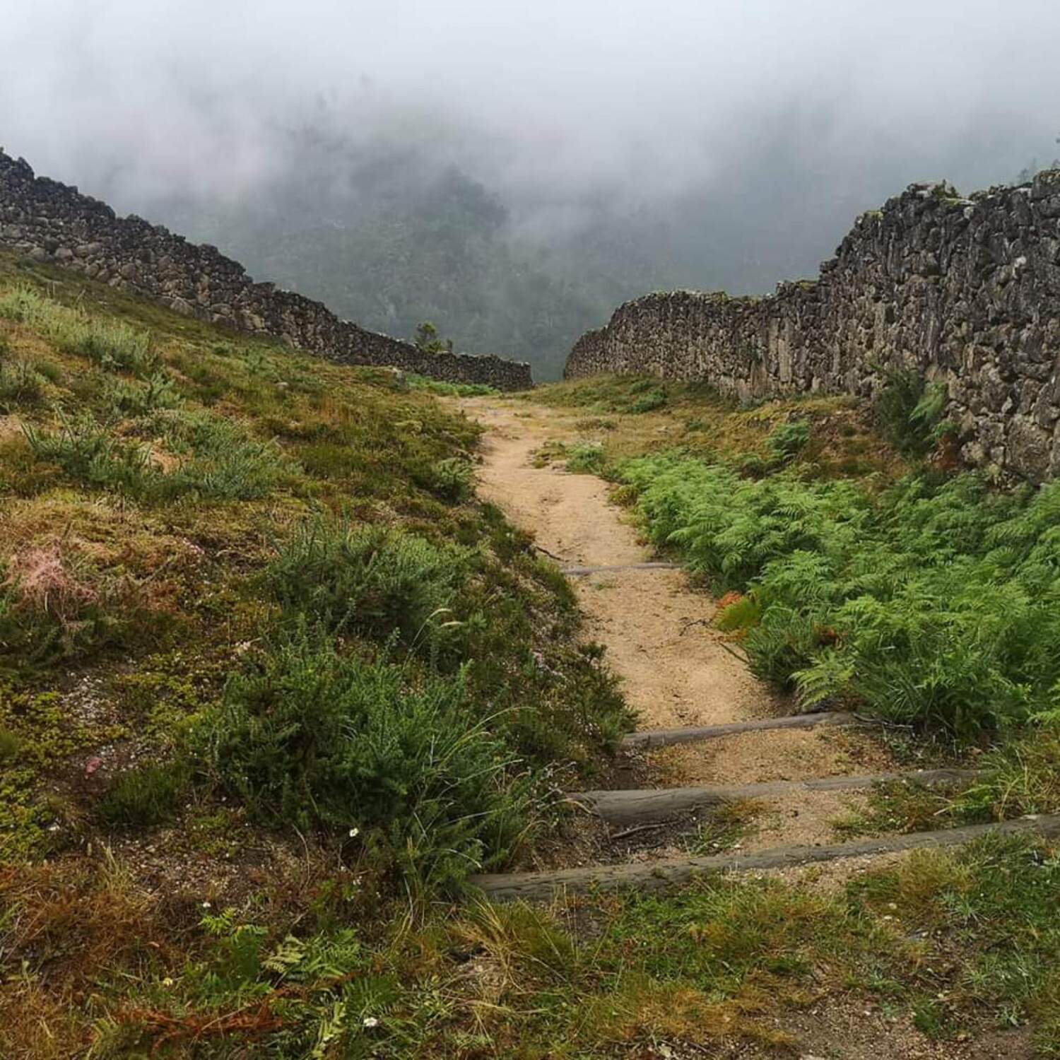 Parque de Peneda Gerês