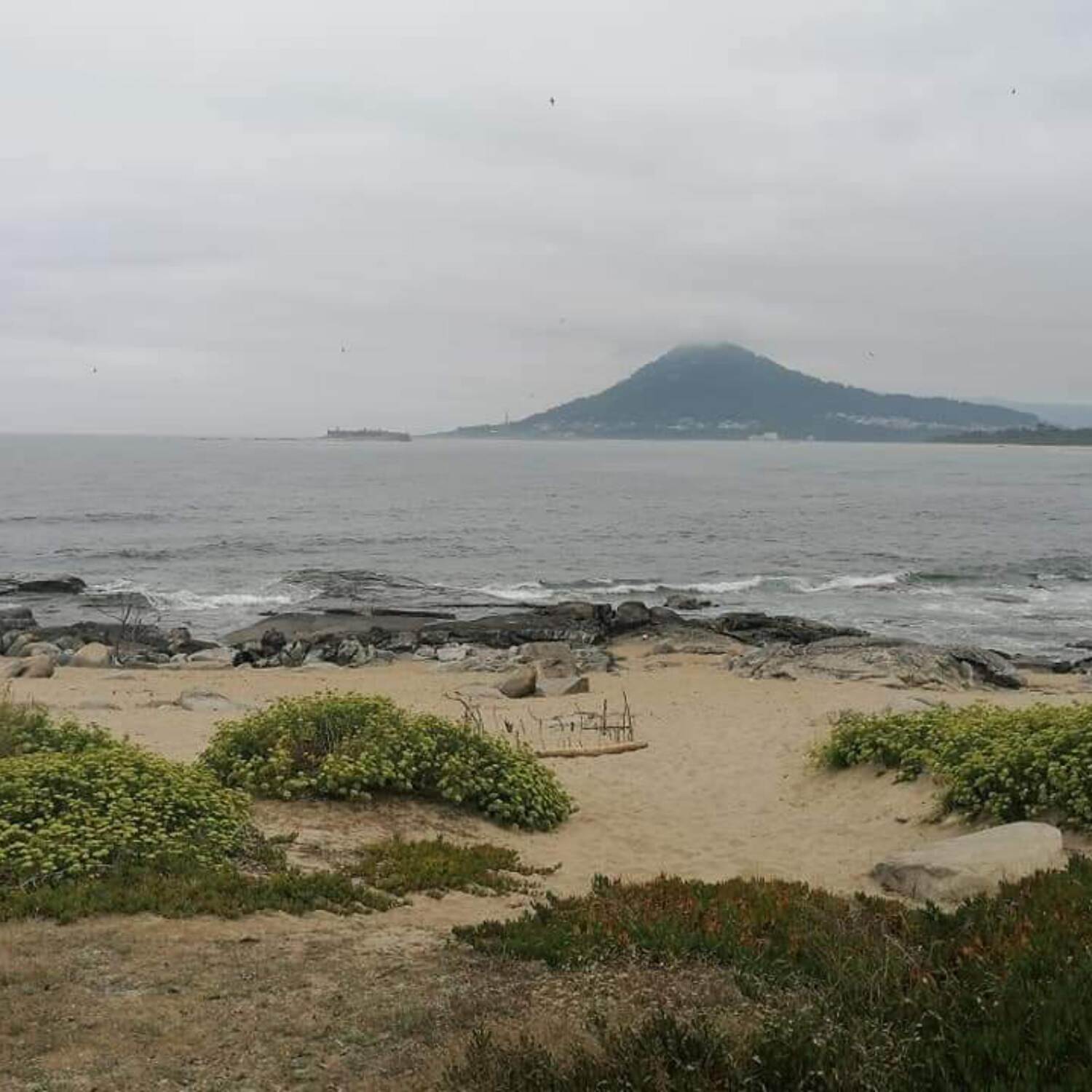 Viana do Castelo