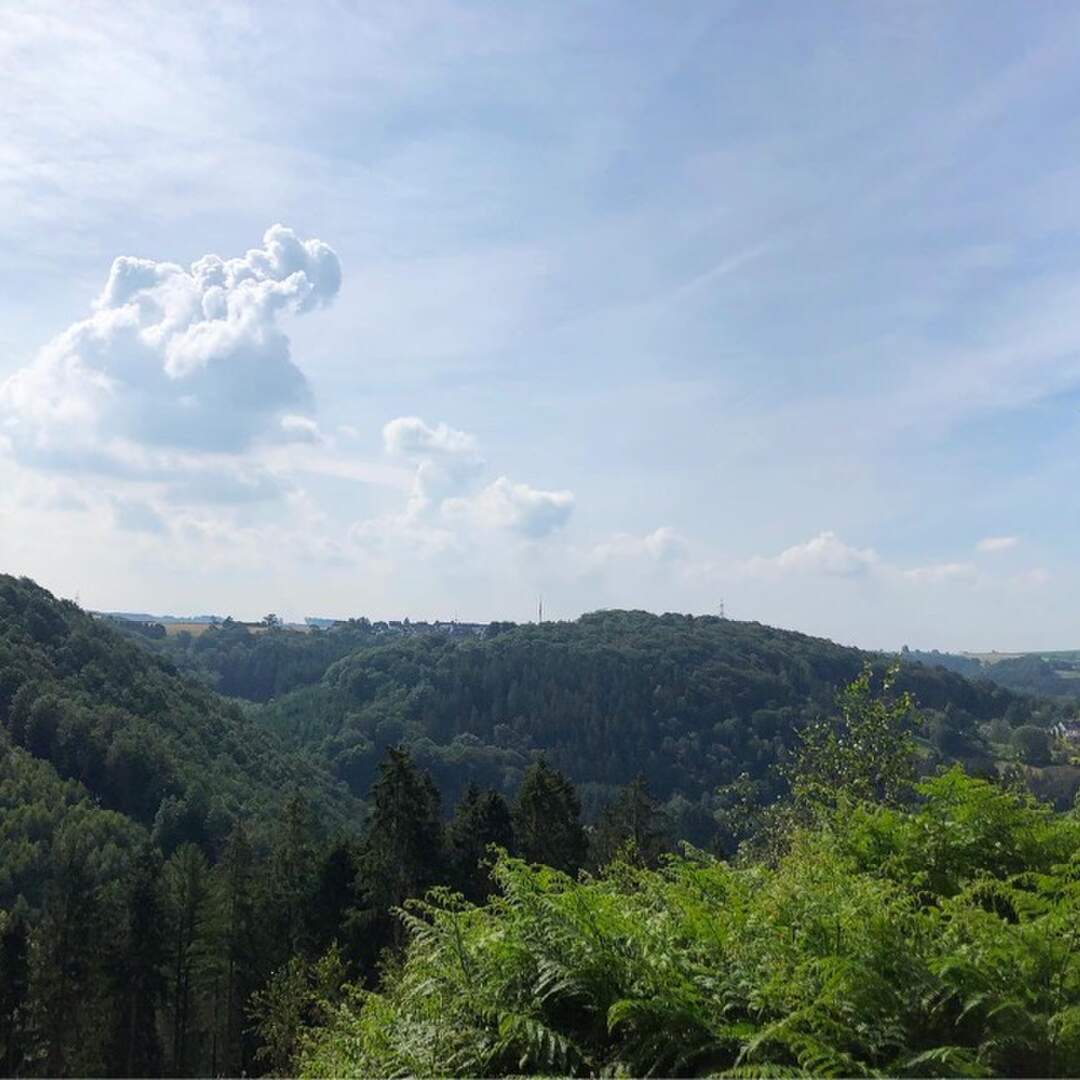 Bergischer Panoramasteig