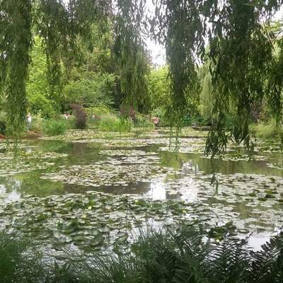 Monet