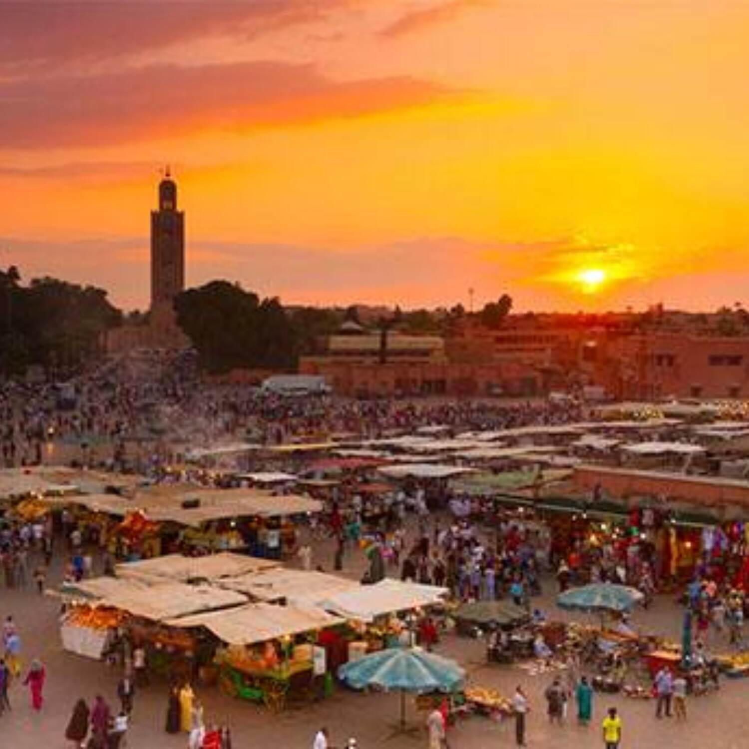Marrakech and desert